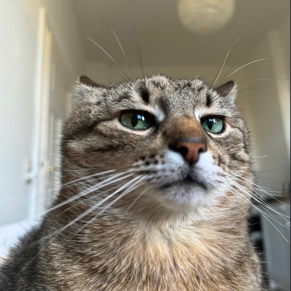 Meet your Posher, Hayley